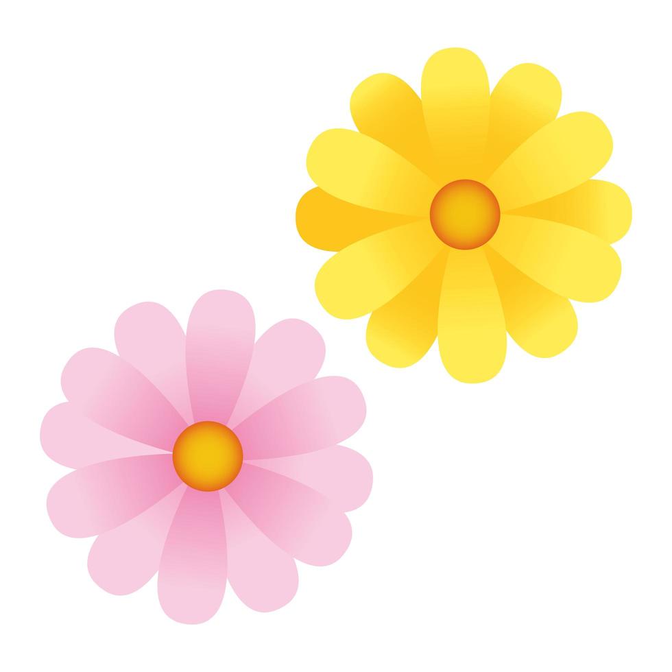 ícones de flores amarelo e rosa vetor