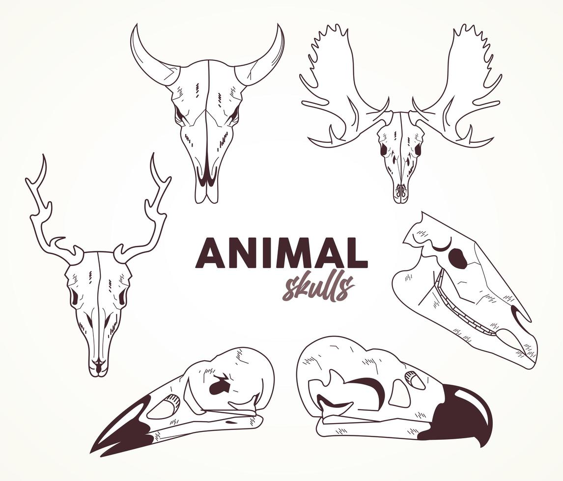 pacote de seis crânios ícones de cabeças de animais vetor