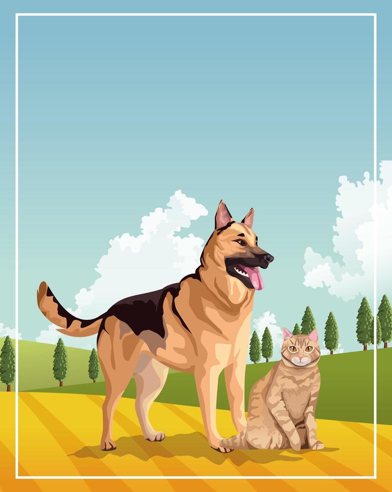 cães e gatos mascotes domésticos no campo vetor