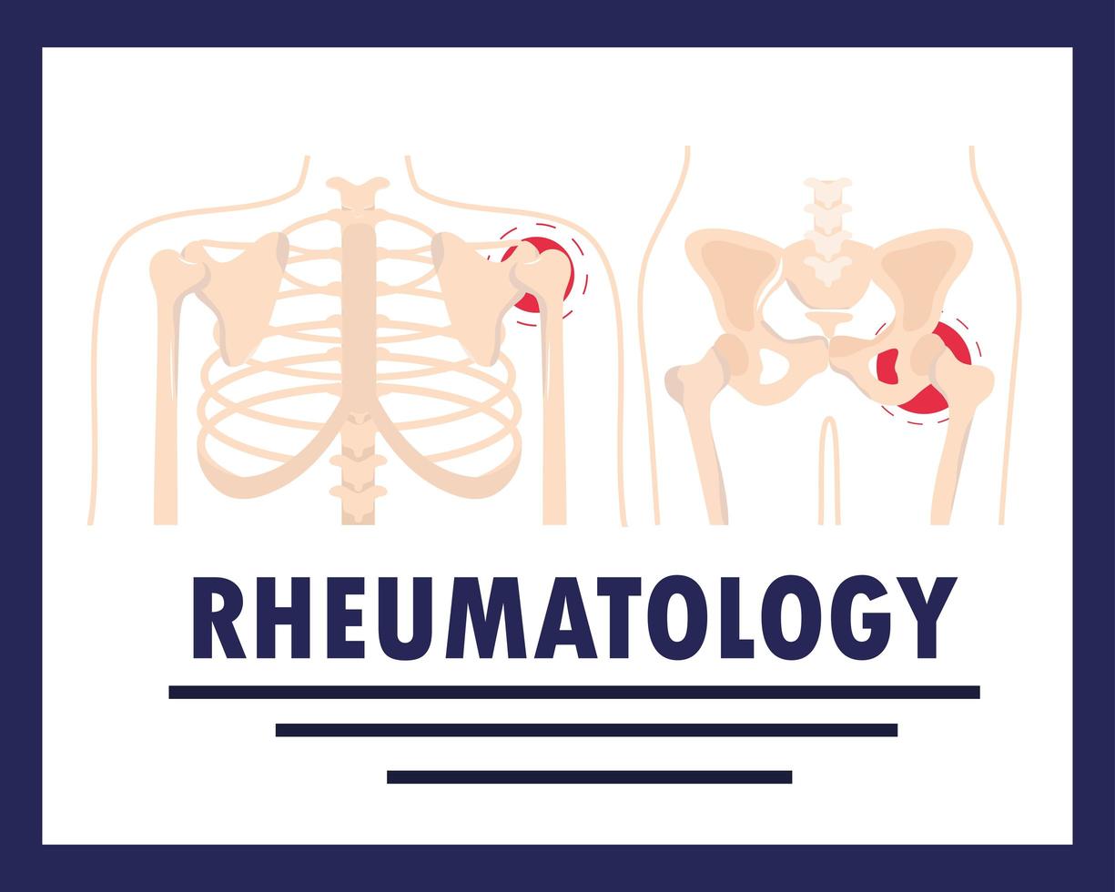 reumatologia corpo humano vetor