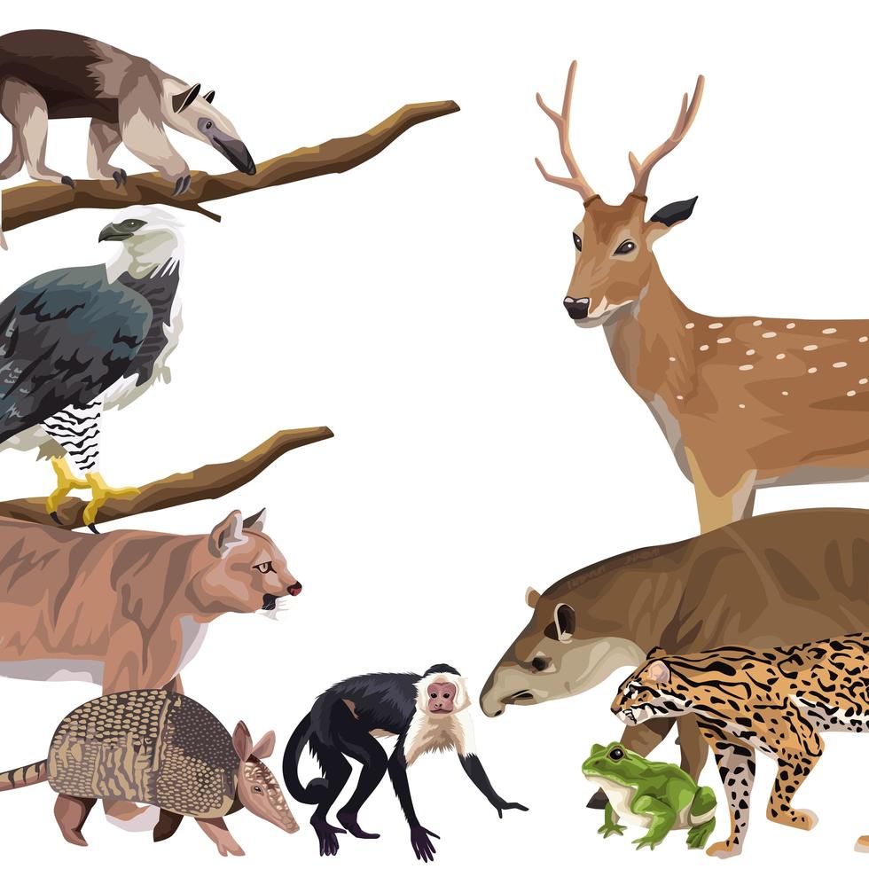 grupo de personagens de animais selvagens vetor