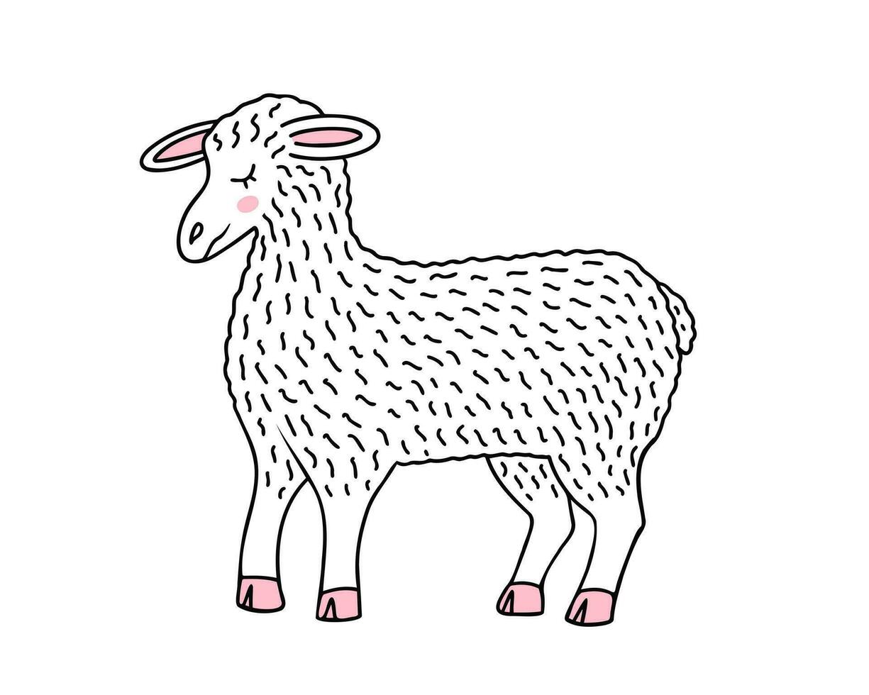 ovelha, Fazenda animal, animal. ilustração para impressão, fundos, cobre e embalagem. imagem pode estar usava para cumprimento cartões, cartazes, adesivos e têxtil. isolado em branco fundo. vetor