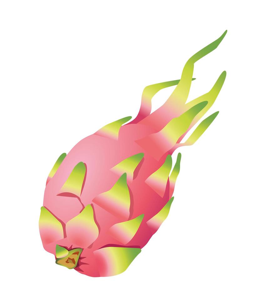 ícone exótico de fruta do dragão fresco e delicioso vetor
