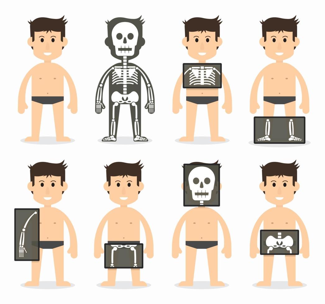 varredura óssea total e humana crânio pescoço ombro escápula braço cotovelo antebraço punho mão dedo tórax costela coluna pélvica quadril coxa joelho perna tornozelo pé dedo plano vetor