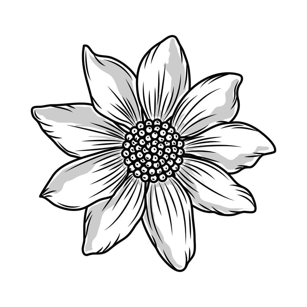 desenho da natureza da flor vetor