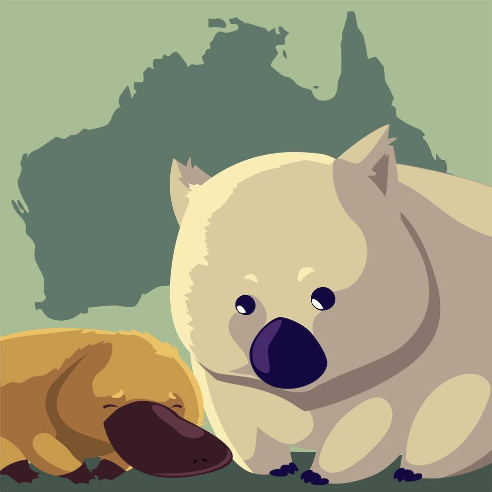 wombat e ornitorrinco continente australiano mapeiam animais selvagens vetor
