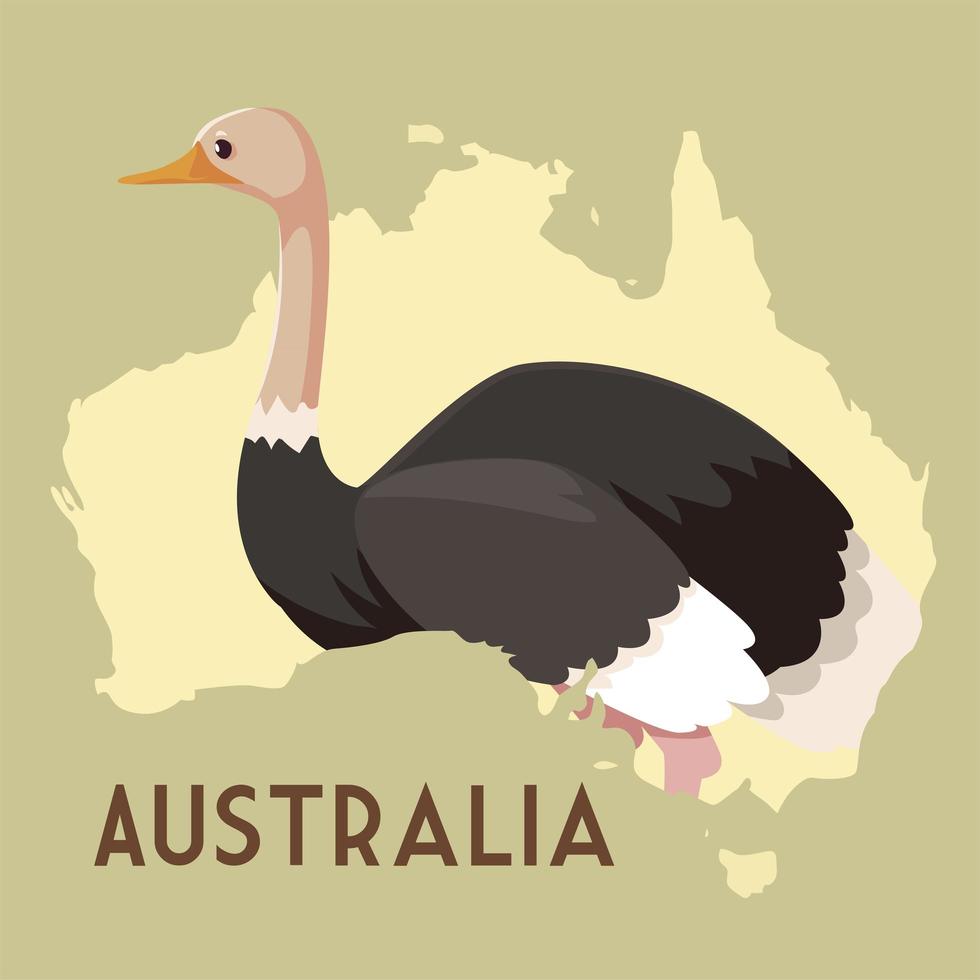 avestruz australiana mapa animal vida selvagem vetor