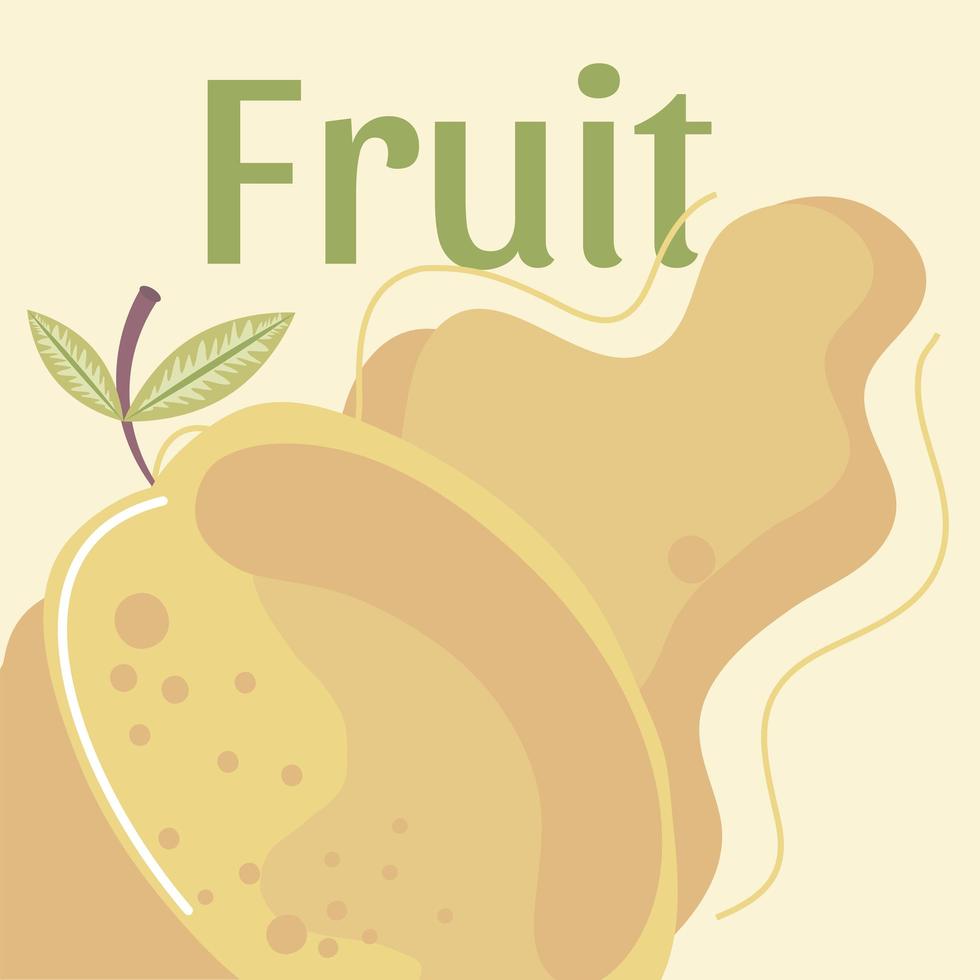 manga fruta fresca comida orgânica saudável vetor
