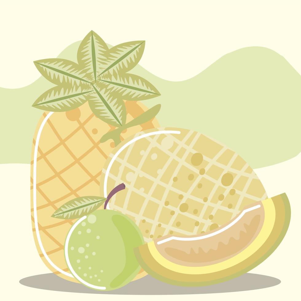 frutas abacaxi fresco, melão e nutrição com limão vetor