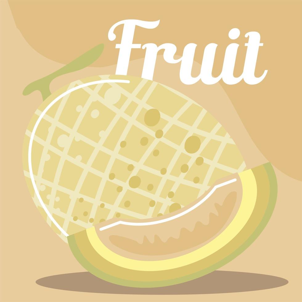 melão fruta fresca comida orgânica saudável vetor