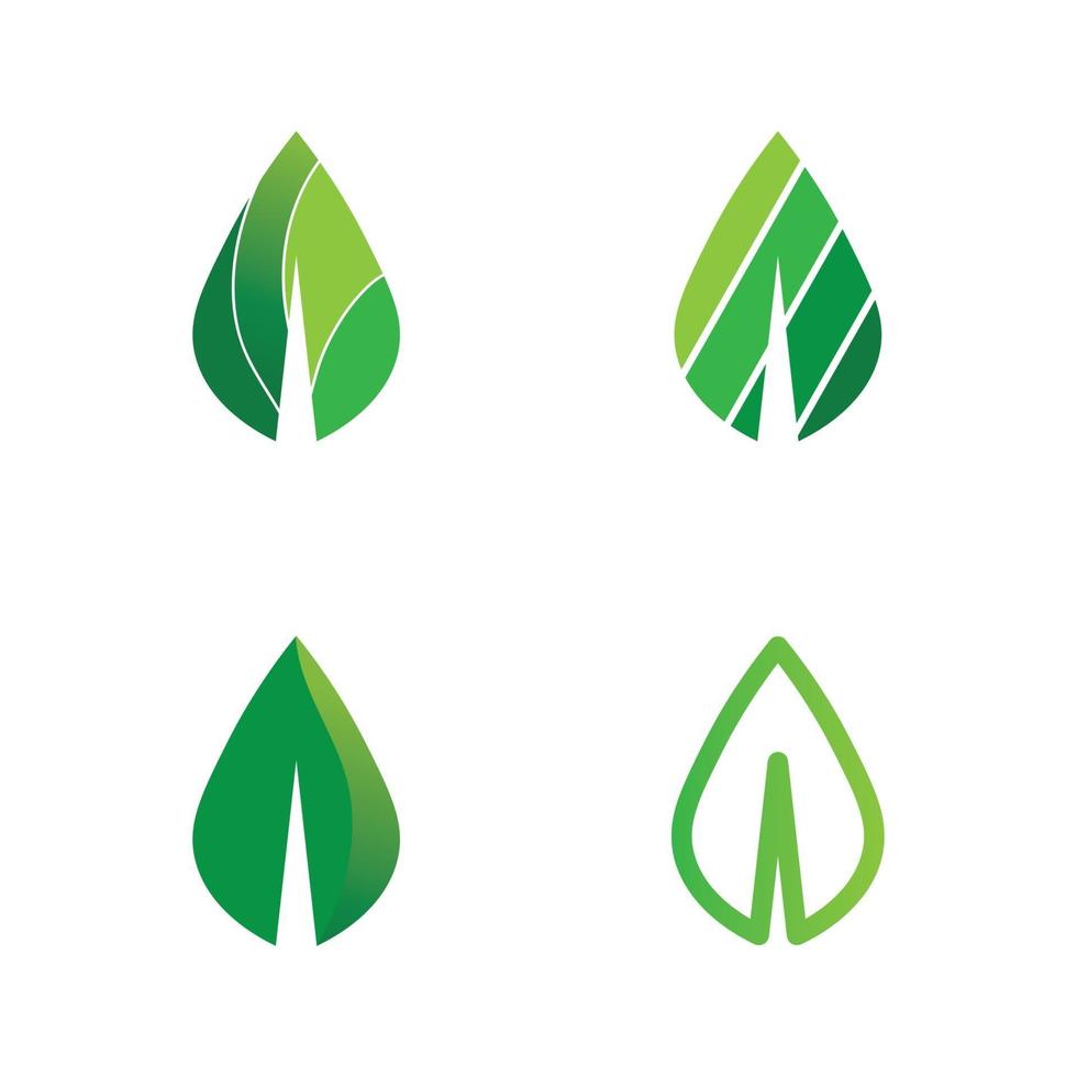 árvore folha vetor design logotipo conceito ecológico