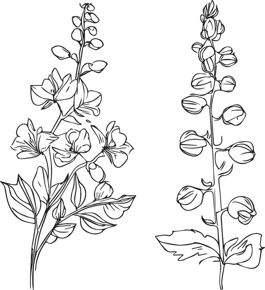 delfínio tatuagem Preto e branco, lápis delfínio desenho, Julho nascimento flor Larkspur desenho, minimalista Julho nascimento flor Larkspur tatuagem, bonita flor coloração página, meia noite azul seda Larkspur vetor