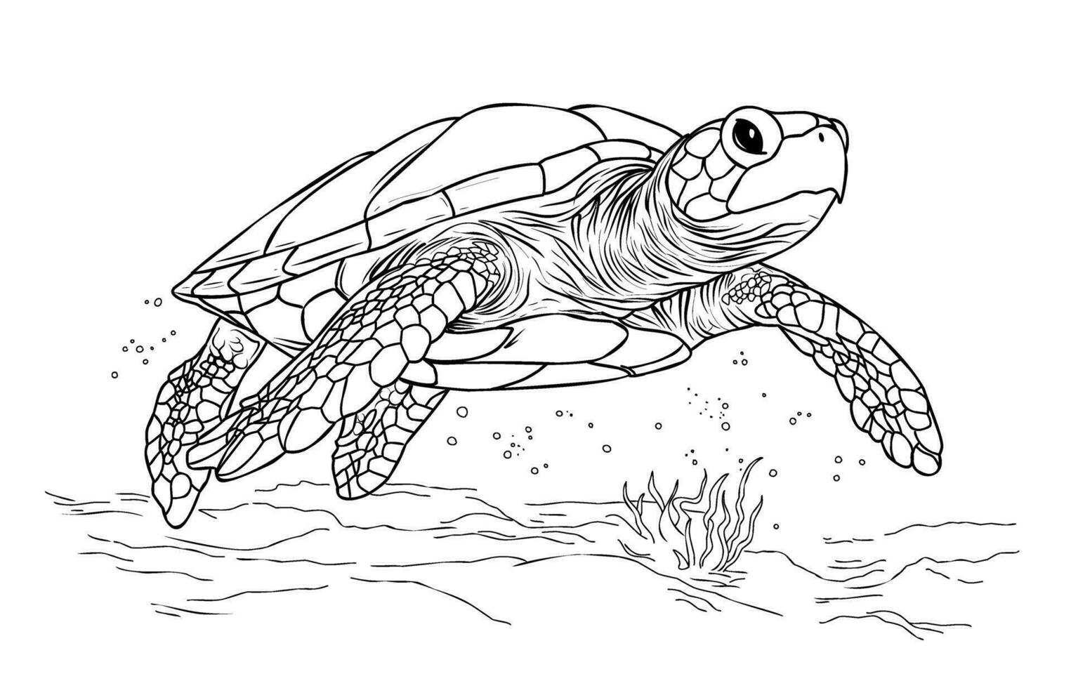 coloração página tartaruga.coloração página vida dentro a oceano com algas vetor