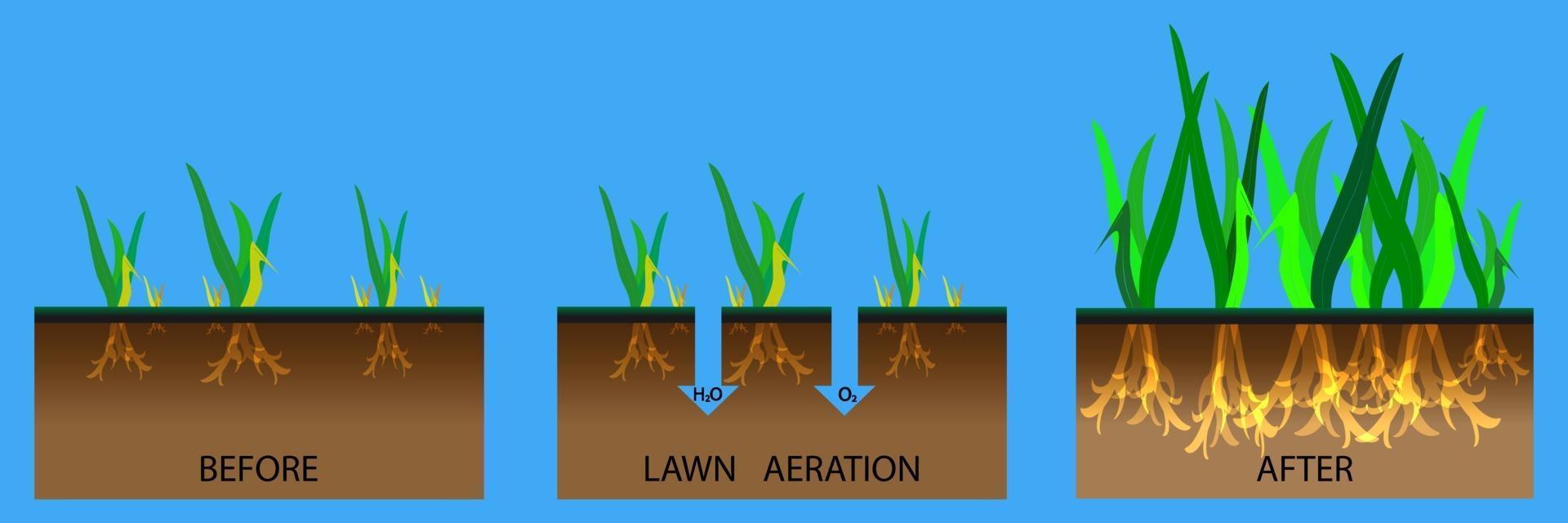 ilustração de estágio de aeração de gramado vetor
