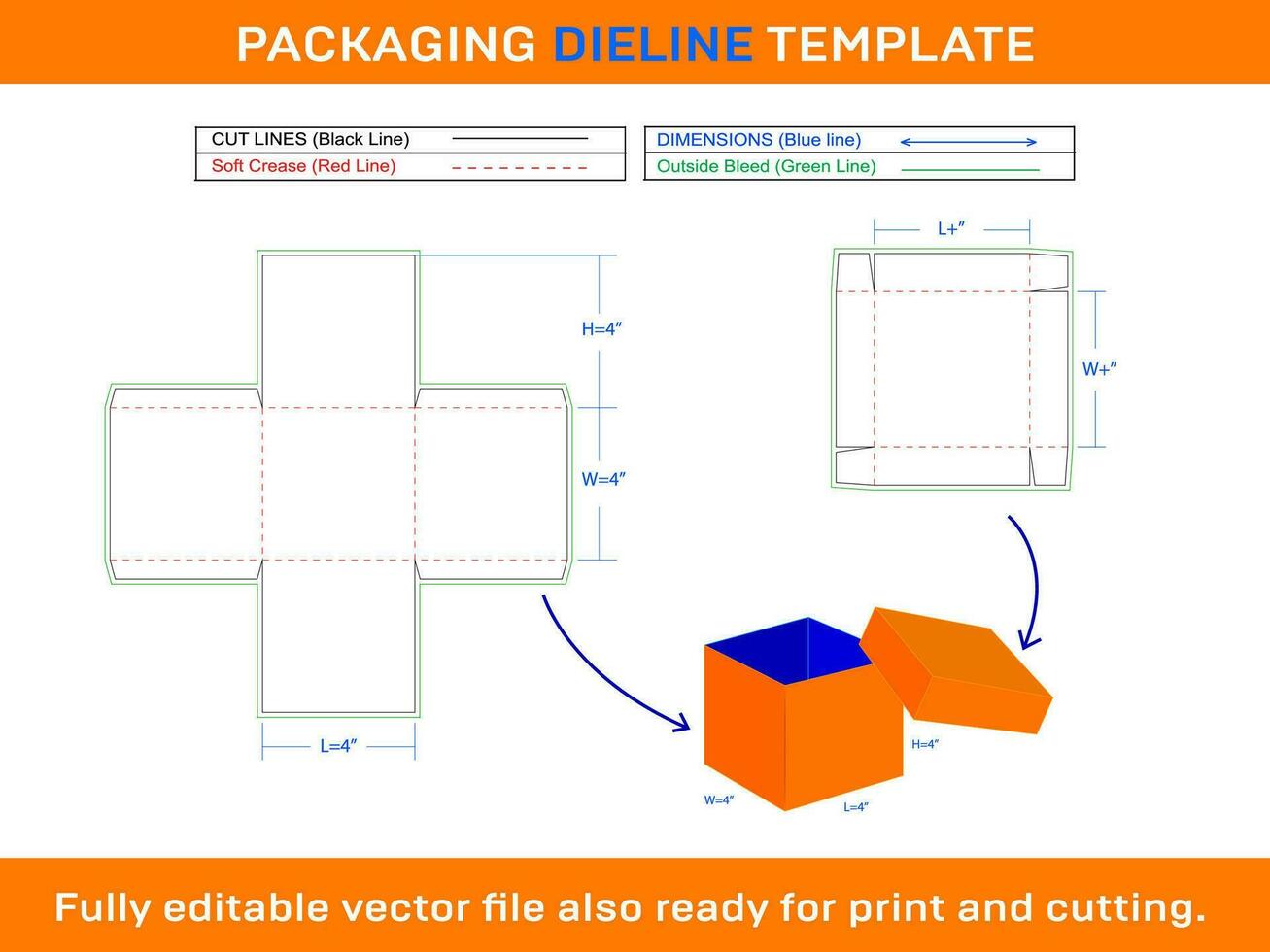 explicação caixa dieline modelo vetor