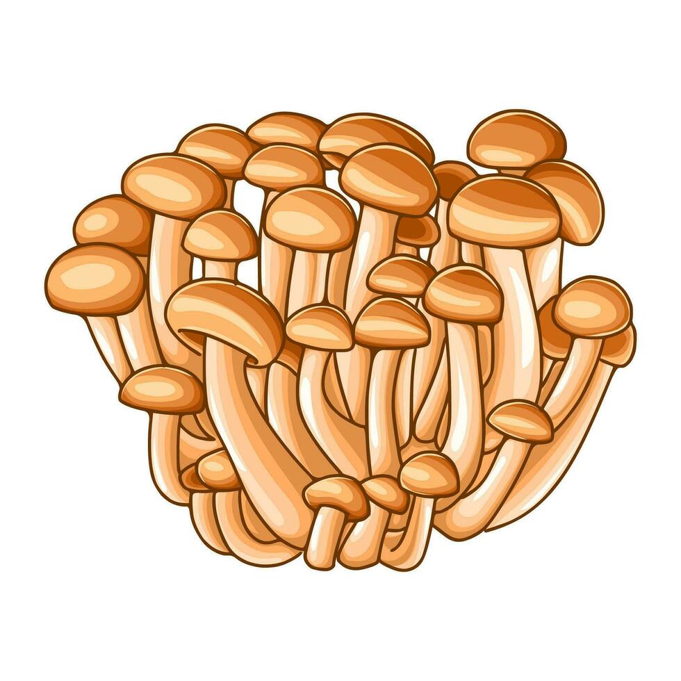 consumível cogumelo coleções vetor