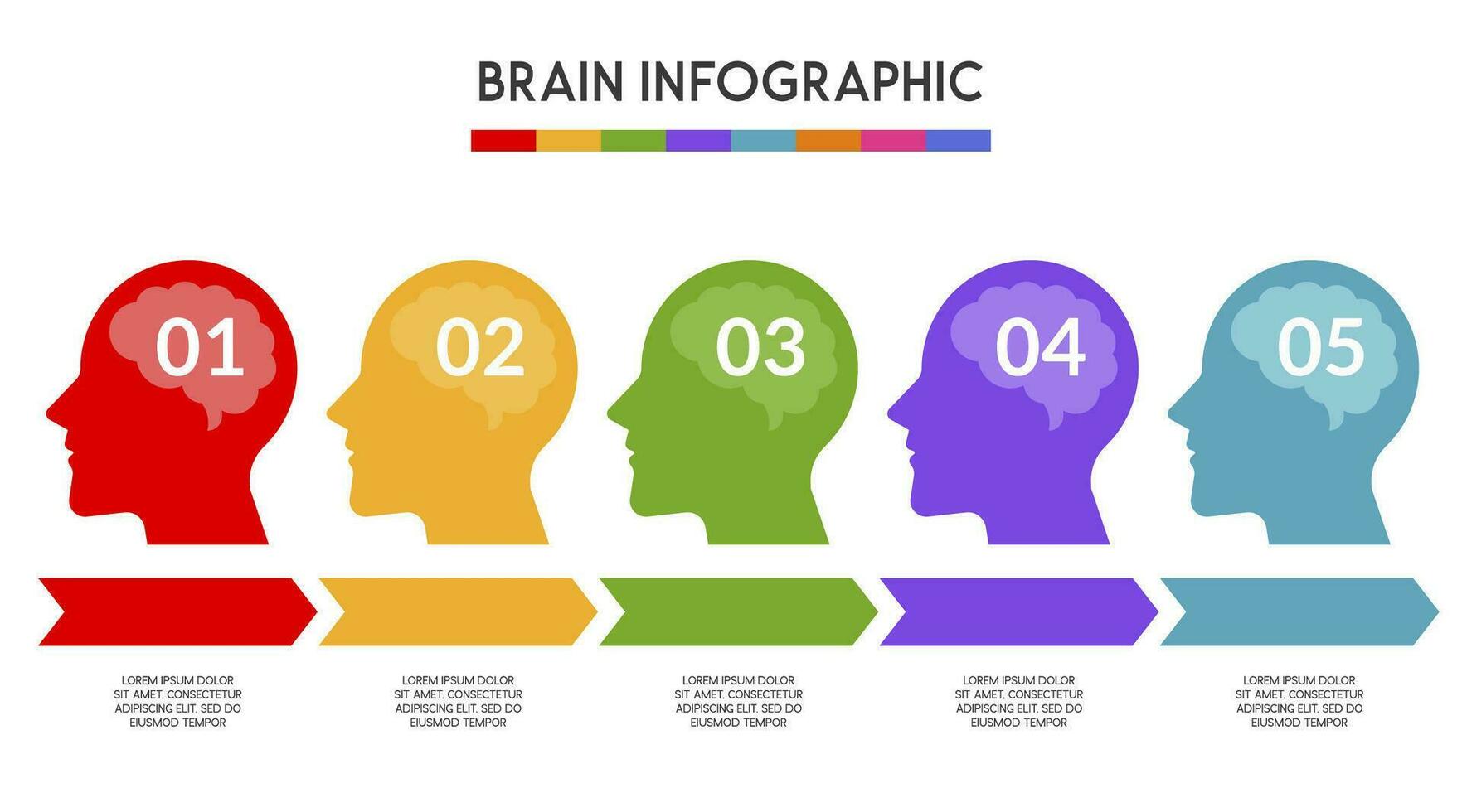 vetor humano cabeça e de outros elementos para infográficos