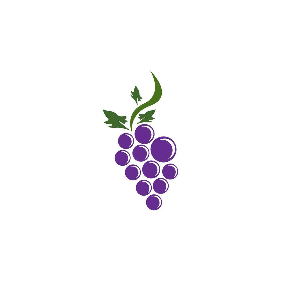 moderno fruta uva logotipo modelo vetor
