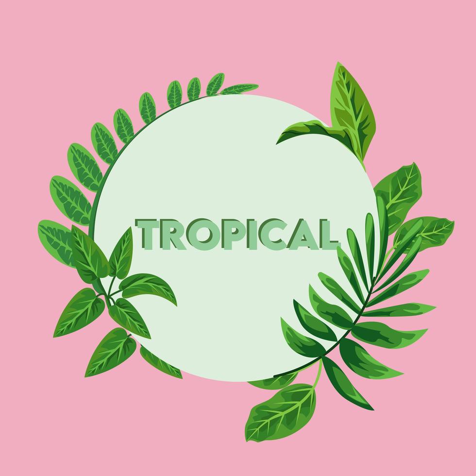 pôster de letras tropicais com folhas verdes em moldura circular vetor