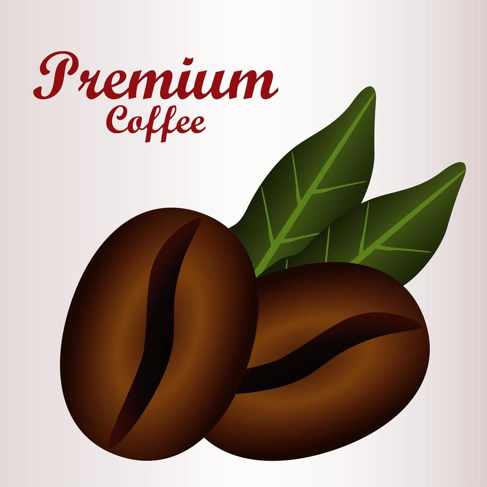 letras de café premium com grãos e folhas vetor