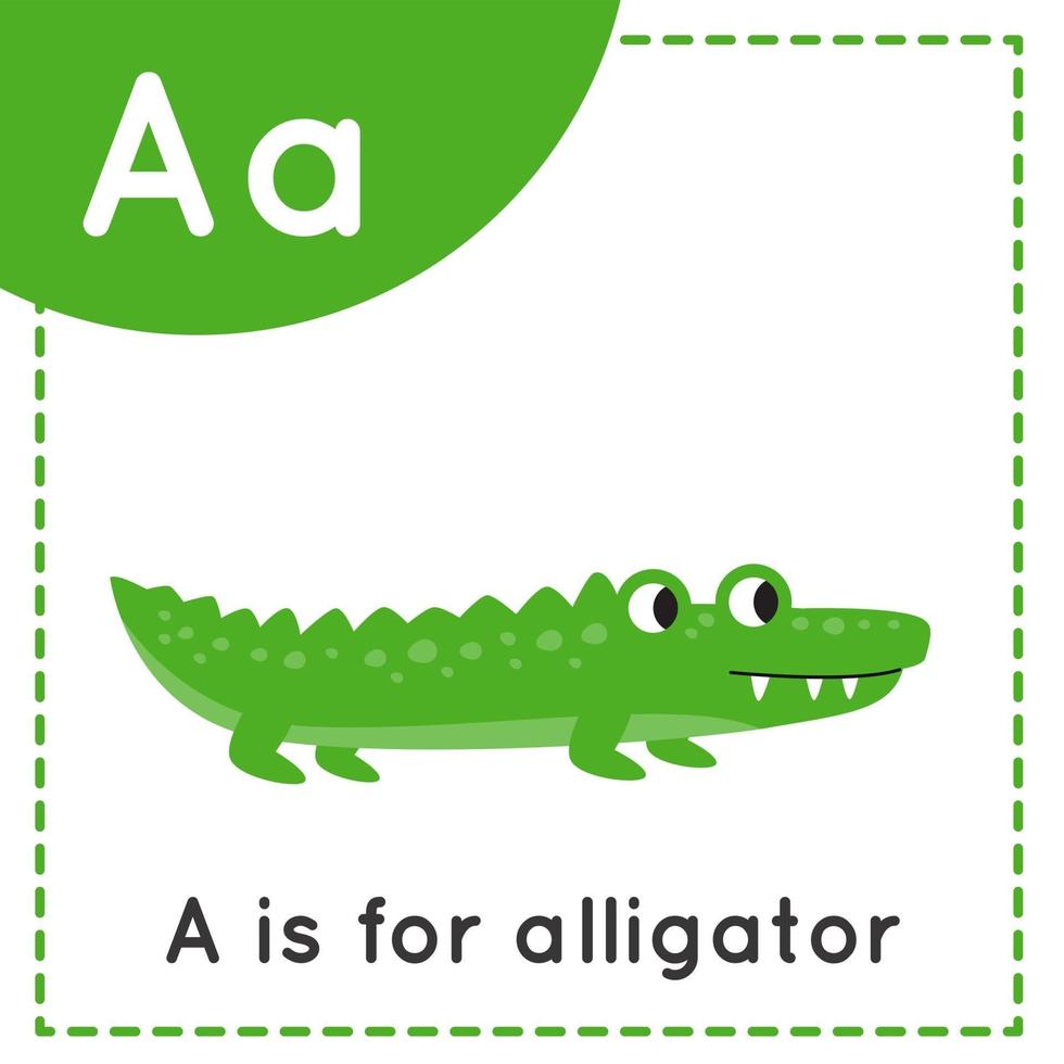 aprender o alfabeto inglês para crianças escreverem um crocodilo fofo vetor