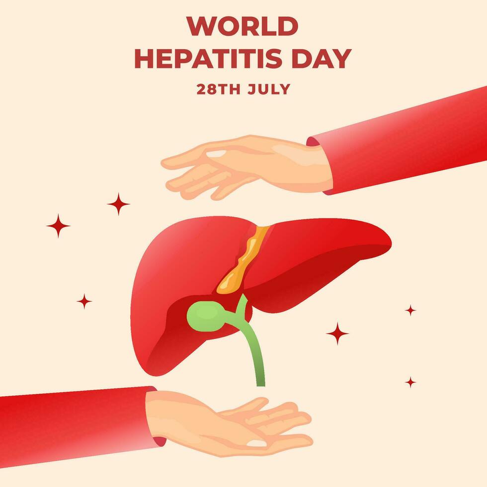 mundo hepatite dia ilustração com fígado e dois mãos vetor