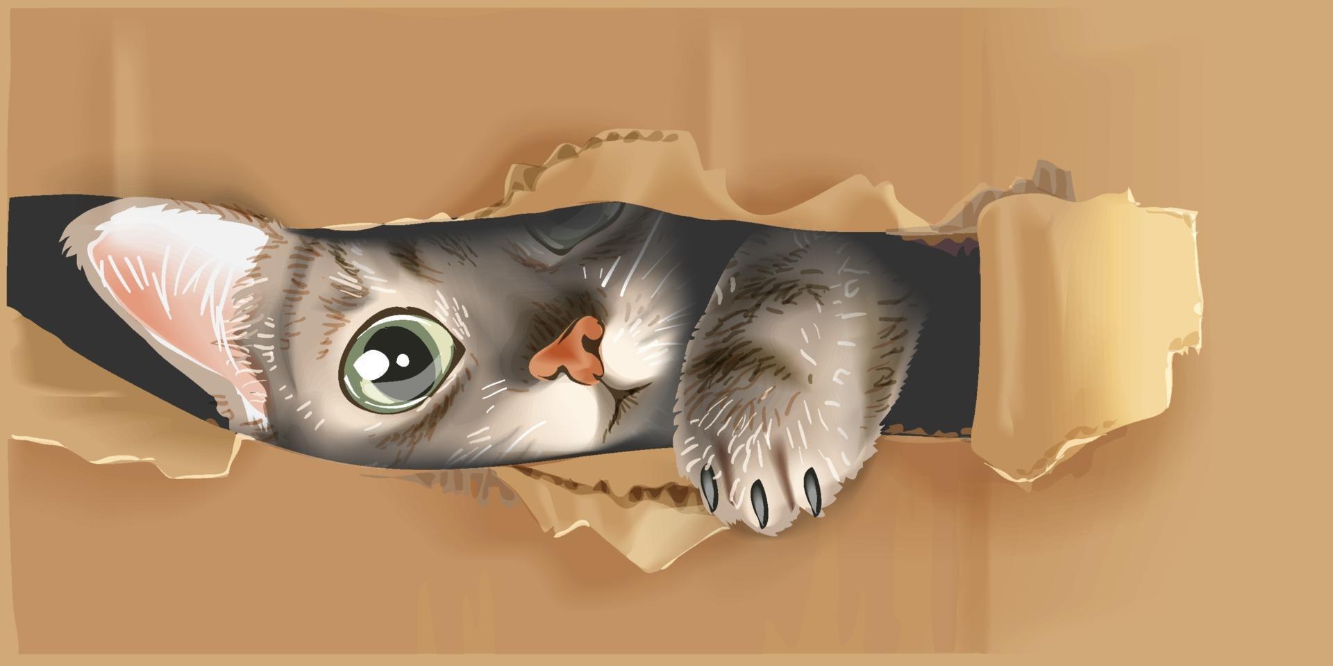 gato fofo espiando através da ilustração de papelão vetor