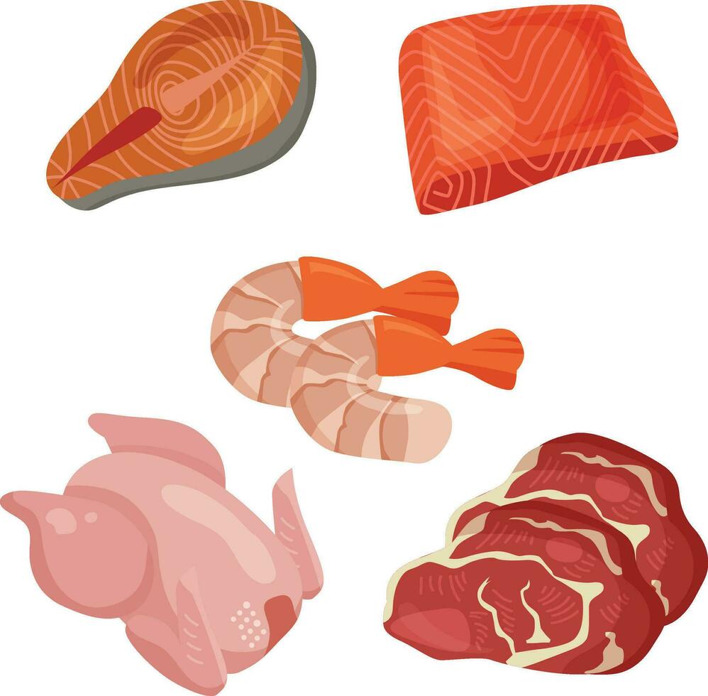 carne e peixe ingredientes vetor