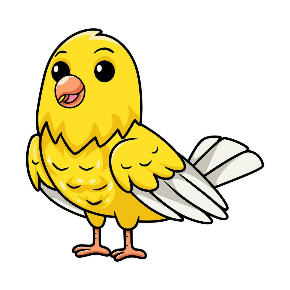fofa canário pássaro desenho animado posando vetor
