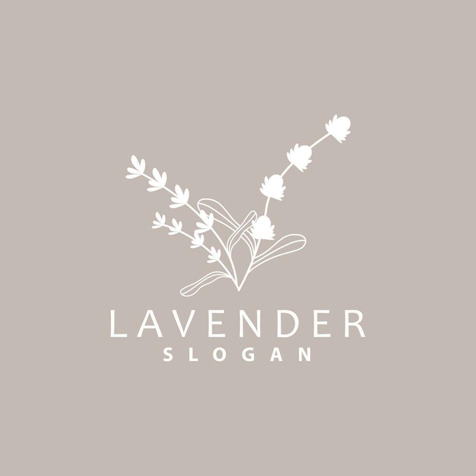 lavanda logotipo, simples elegante roxa flor plantar vetor, cumprimento cartão projeto, bandeira, flor ornamento, lavanda mão desenhado casamento, ícone símbolo ilustração vetor