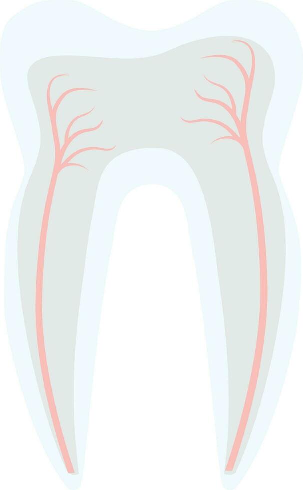 dente estrutura decoração Projeto tratamento estomatologia vetor