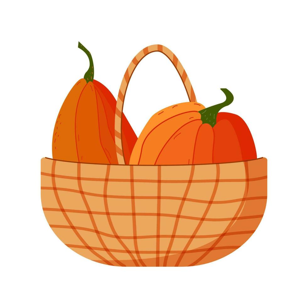 outono colheita - abóboras dentro cesta. agricultura cenas com abóboras vetor