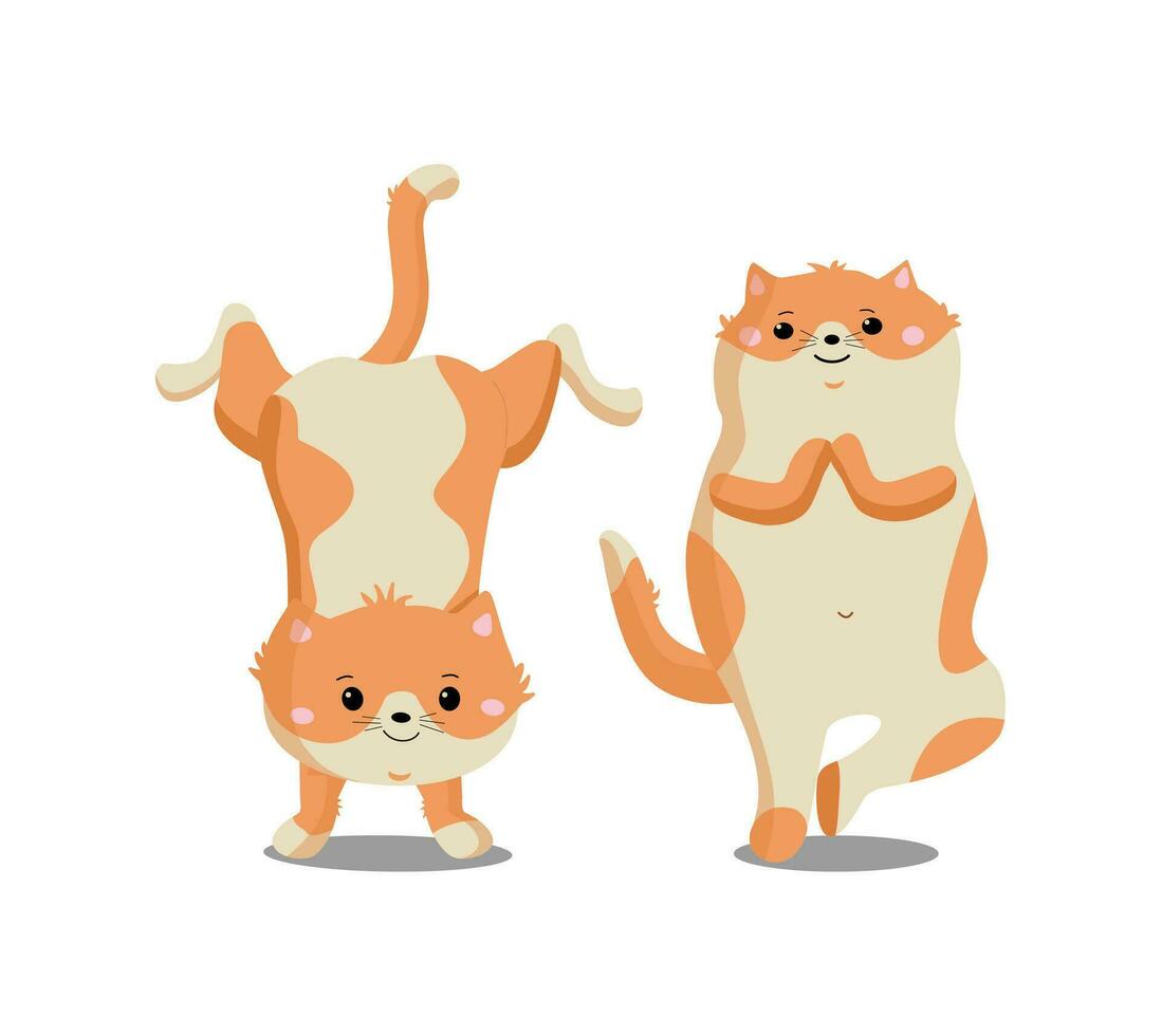 atletas gatos. gatos, Esportes, ioga. exercícios, ioga posturas. uma saudável caminho do vida. engraçado desenho animado gatinhos. vetor ilustração em branco isolado fundo.