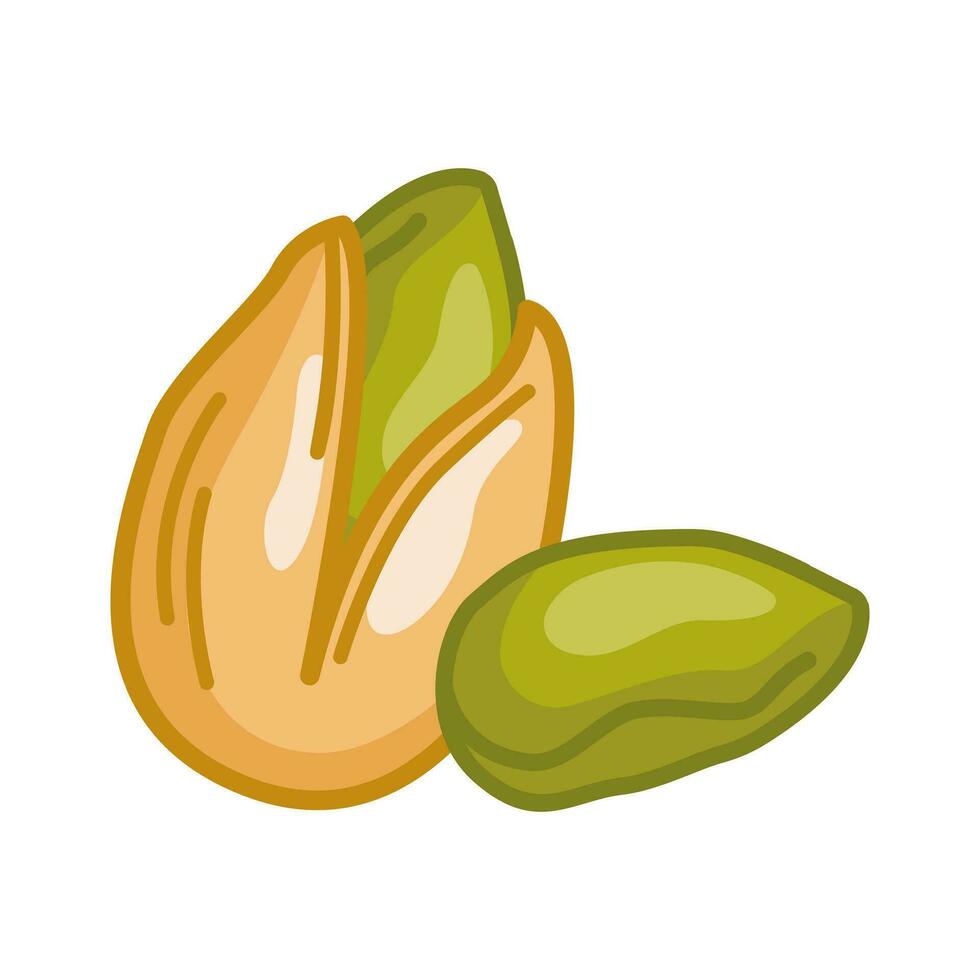 vetor ilustração do pistachios dentro escarlate e sem dentro desenho animado estilo. adequado para embalagem. isolado em uma branco fundo