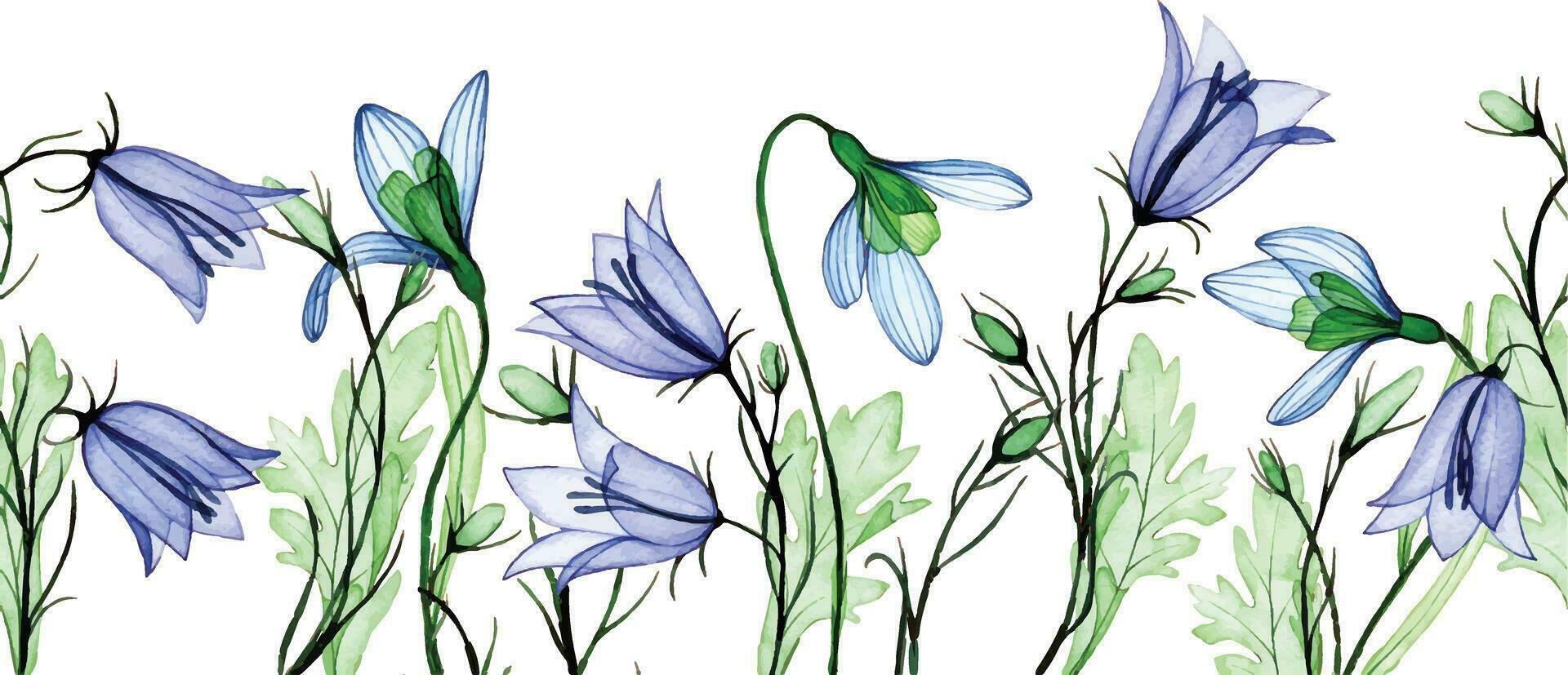 aguarela desenho. desatado fronteira, quadro, Armação do transparente flores floco de neve e bluebell. Primavera flores silvestres, raio X vetor