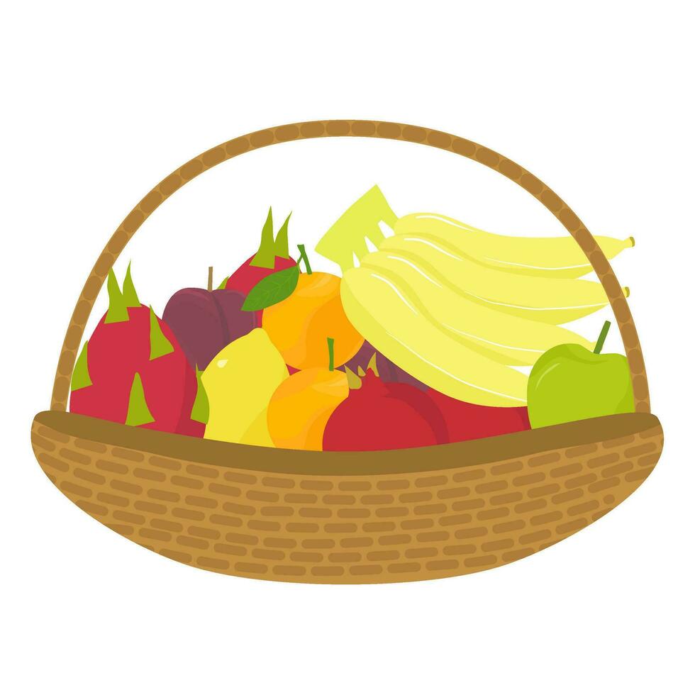 fruta cesta ilustração com vários tropical frutas vetor