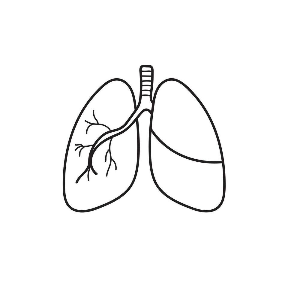 mão desenhado crianças desenhando desenho animado vetor ilustração pulmões ícone isolado em branco fundo