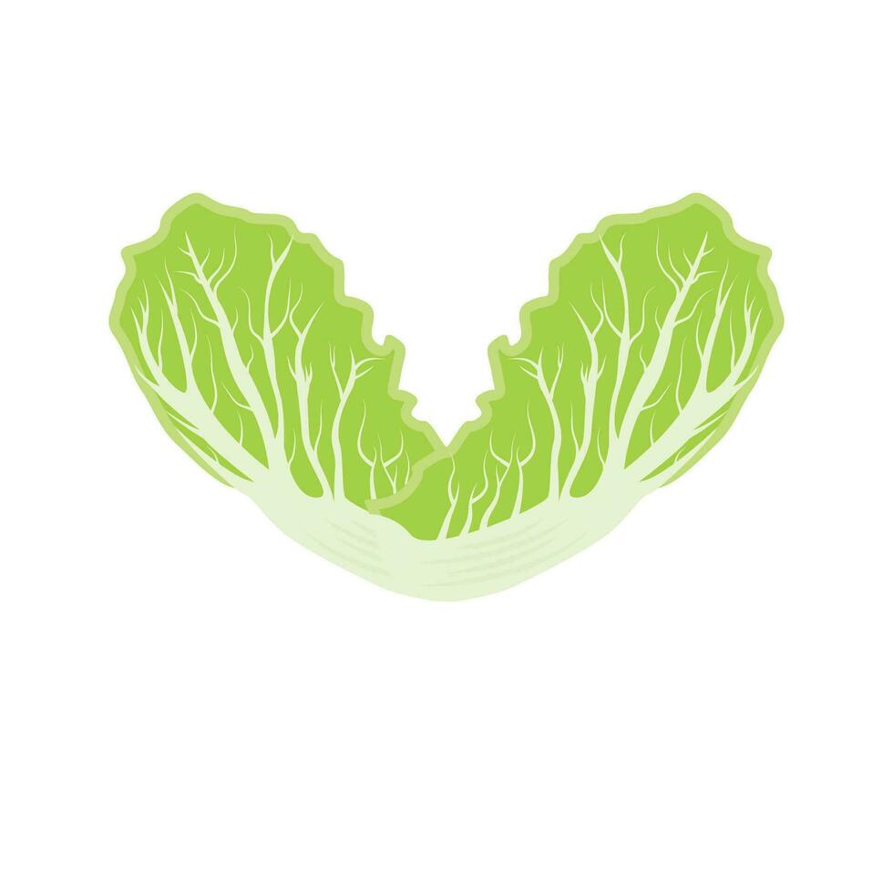 design de logotipo kimchi, vetor de comida tradicional coreana, ilustração de logotipo vegetal verde repolho, ícone da marca da empresa