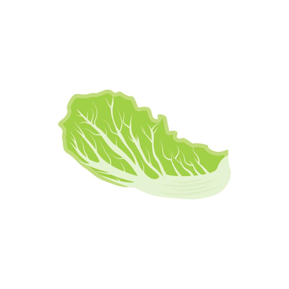 design de logotipo kimchi, vetor de comida tradicional coreana, ilustração de logotipo vegetal verde repolho, ícone da marca da empresa