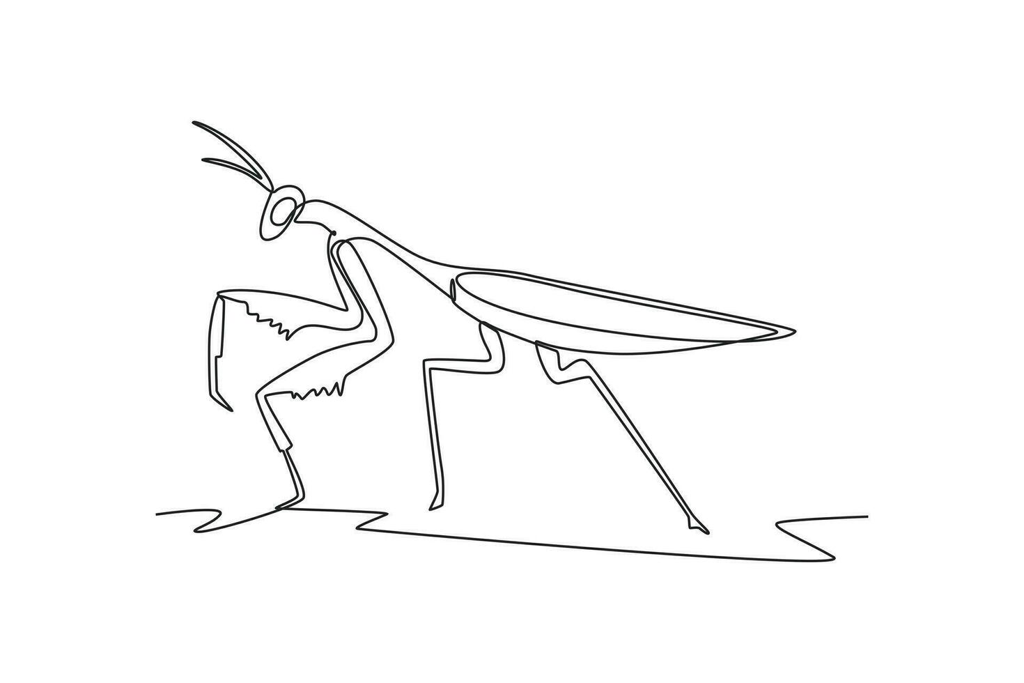 contínuo 1 linha desenhando insetos conceito. solteiro linha desenhar Projeto vetor gráfico ilustração.