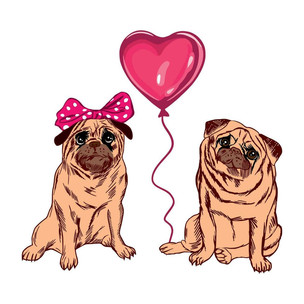 dois engraçado pugs e uma coração em forma balão. vetor ilustração em a tema do feliz aniversário e dia dos namorados dia. Projeto elemento para cumprimento cartões, feriado bandeiras.