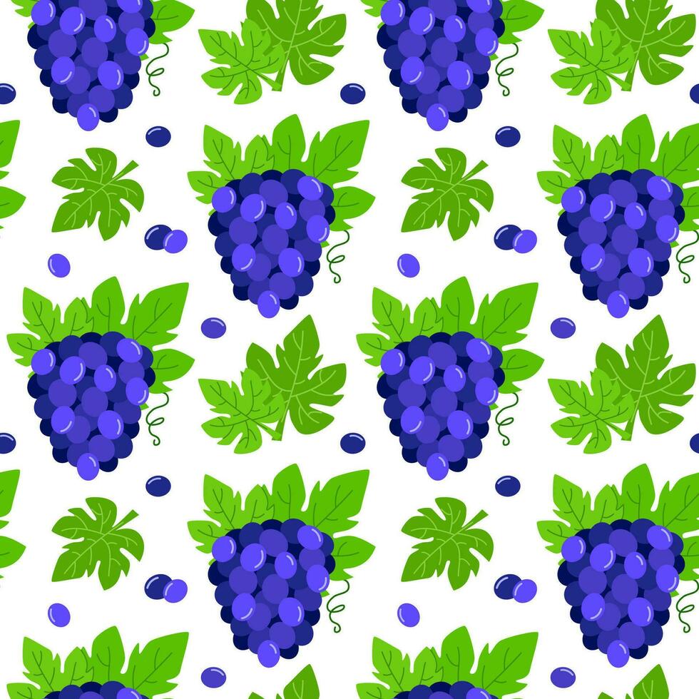 desatado padronizar com cachos do azul uvas. vetor ilustração com fruta. verão fundo com bagas do uvas e verde folhas.