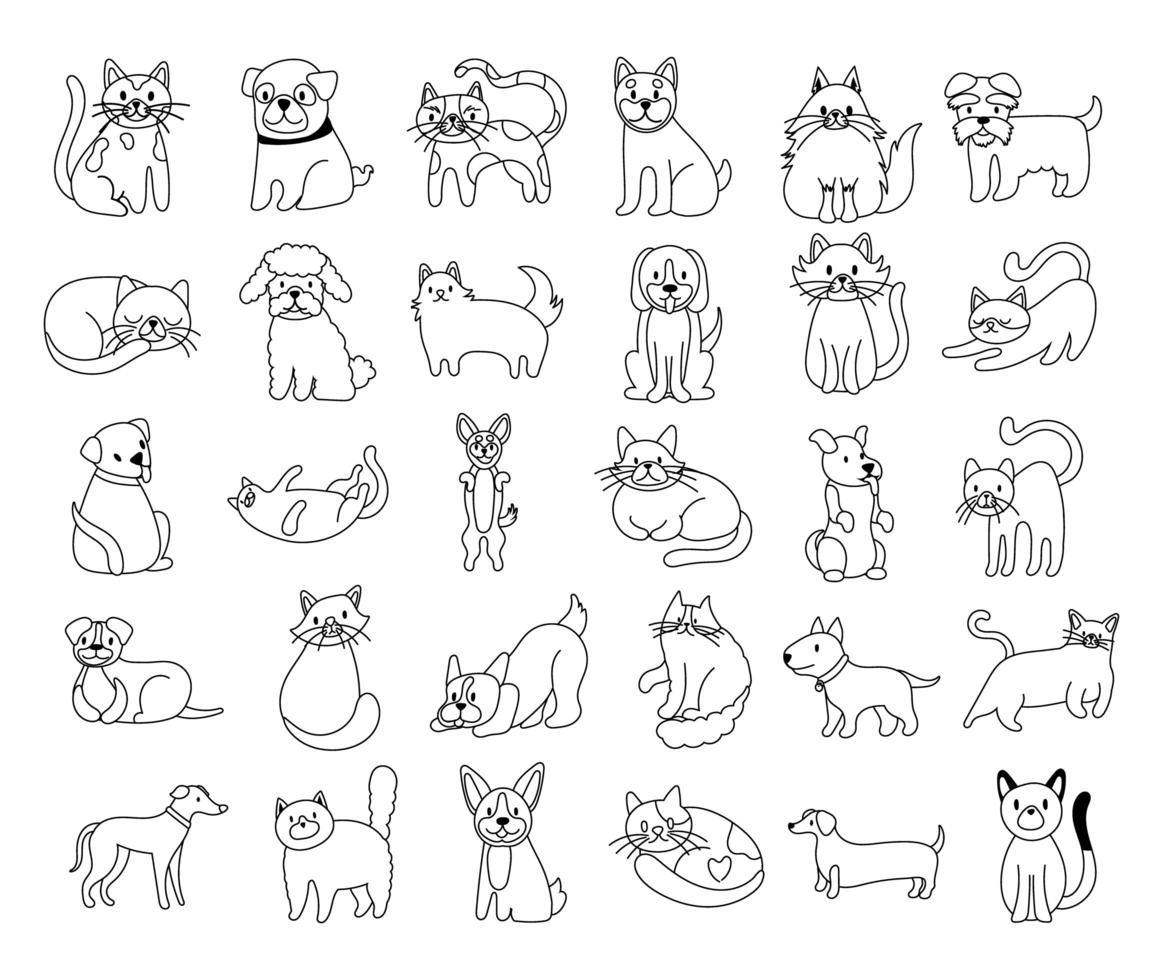conjunto de gatos e cachorros conjunto de ícones vetor