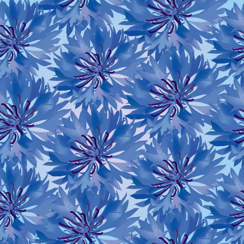 padrão floral sem costura flor cornflower prado textura flores silvestres verão ornamental fundo vetor