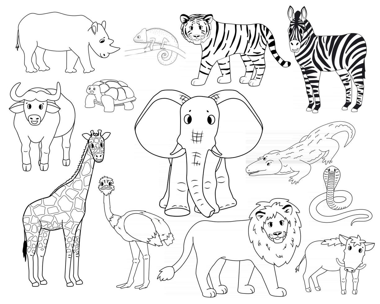 Desenhos para imprimir e pintar de animais foca e girafa