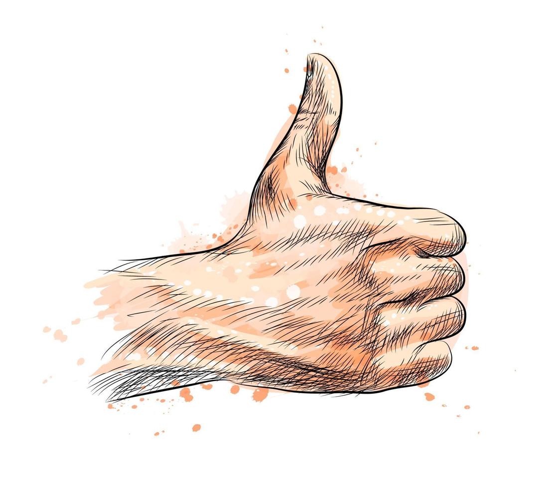 mão mostrando o símbolo, como fazer o gesto do polegar para cima com um toque de aquarela desenho desenhado à mão ilustração vetorial de tintas vetor