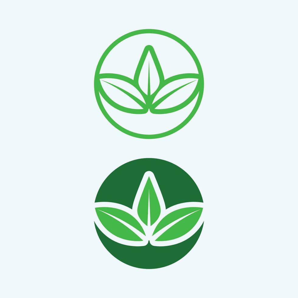 logotipos da ecologia de folhas verdes vetor