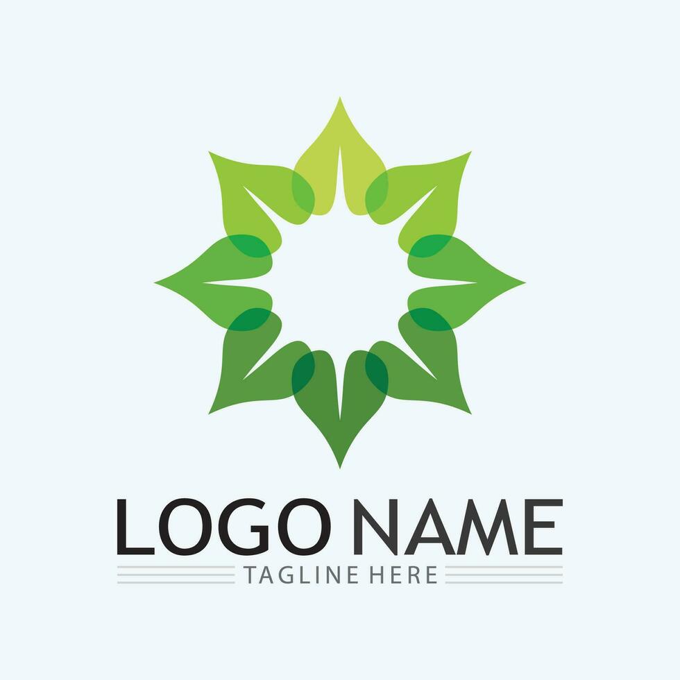 logotipo de vetor de energia eco com símbolo de folha. cor verde com gráfico de flash ou trovão. natureza e eletricidade renovável. este logotipo é adequado para tecnologia, reciclagem, orgânico.
