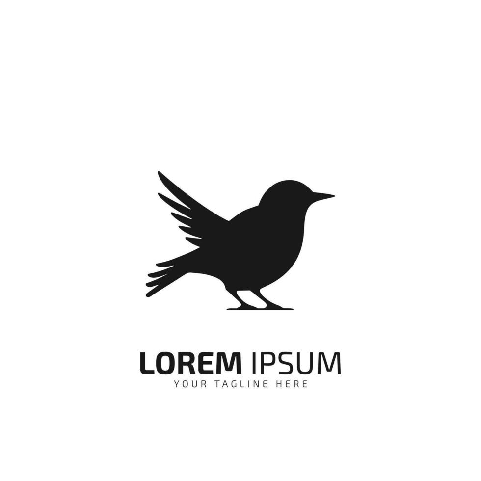 pássaro moderno logotipo Projeto vetor ilustração.