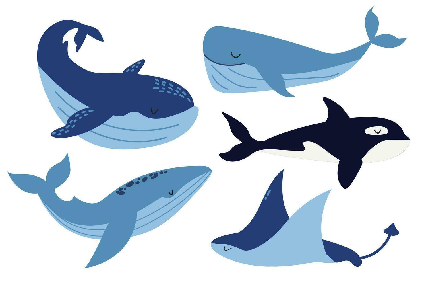 vetor conjunto do mar animais. coleção do oceânico mamíferos. baleia, assassino baleia, arraia. plano ilustração. baleias dentro desenho animado estilo. branco isolado fundo.
